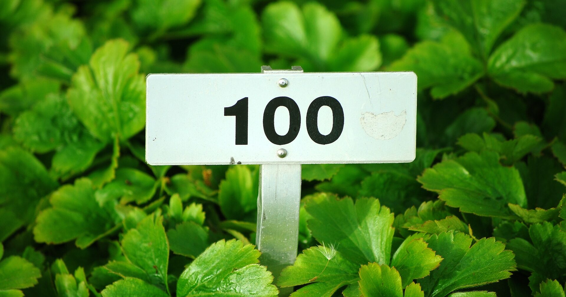 「100点はときどき」でよいが、「100点が絶対必要」なときもある - CBLコーチング情報局